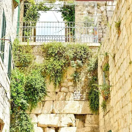 La Divine شقة *